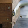 bees in front of a beehive