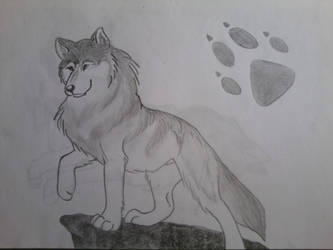 Wolf