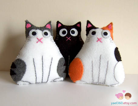 Trio of fat cats: black, tabby and white, and cali