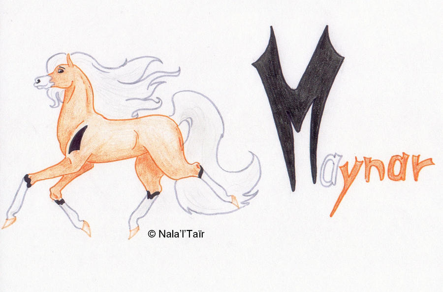 Maynar Ref' Sheet by Ehnala on DeviantArt