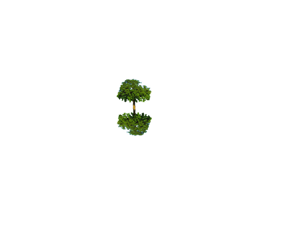 Reversal Tree Reversetree by AlexanderWantsToDraw on DeviantArt