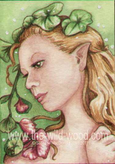 ACEO flower faery 1