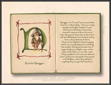 N is for Norggen