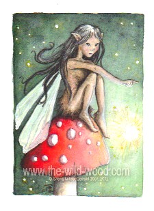 Toadstool Faery