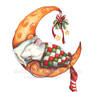 Xmas Moon