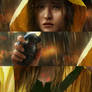 Rain: closeups