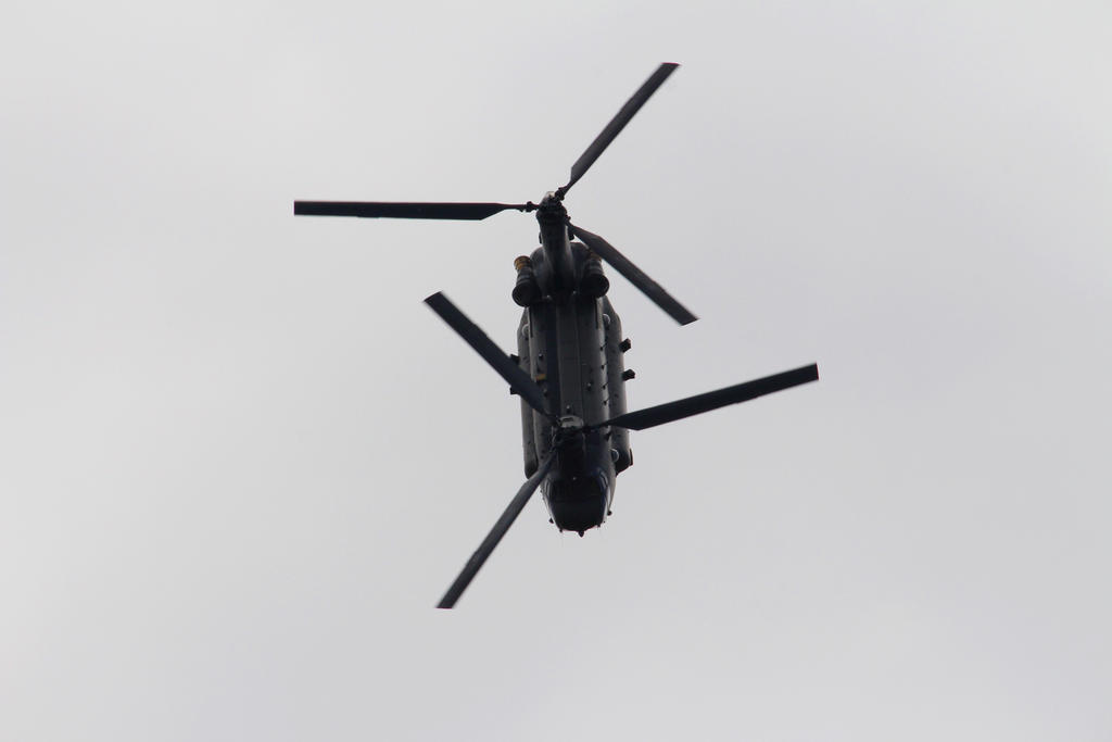 Chinook