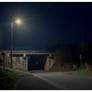 Nocturnal whispers