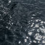 Still waters run deep