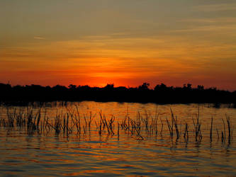 Cambodia IV - Sunset