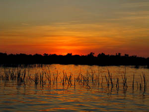 Cambodia IV - Sunset