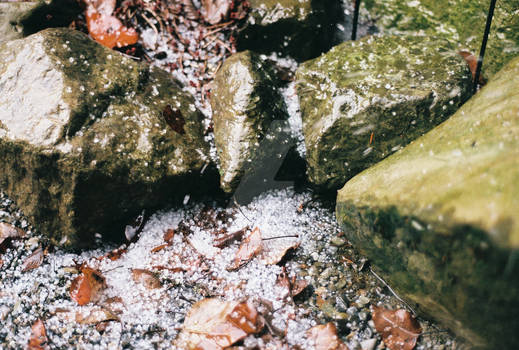 stuck between a rock and ice