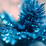 blues and bokeh