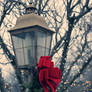 festive lantern