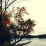 autumn on the lakeside