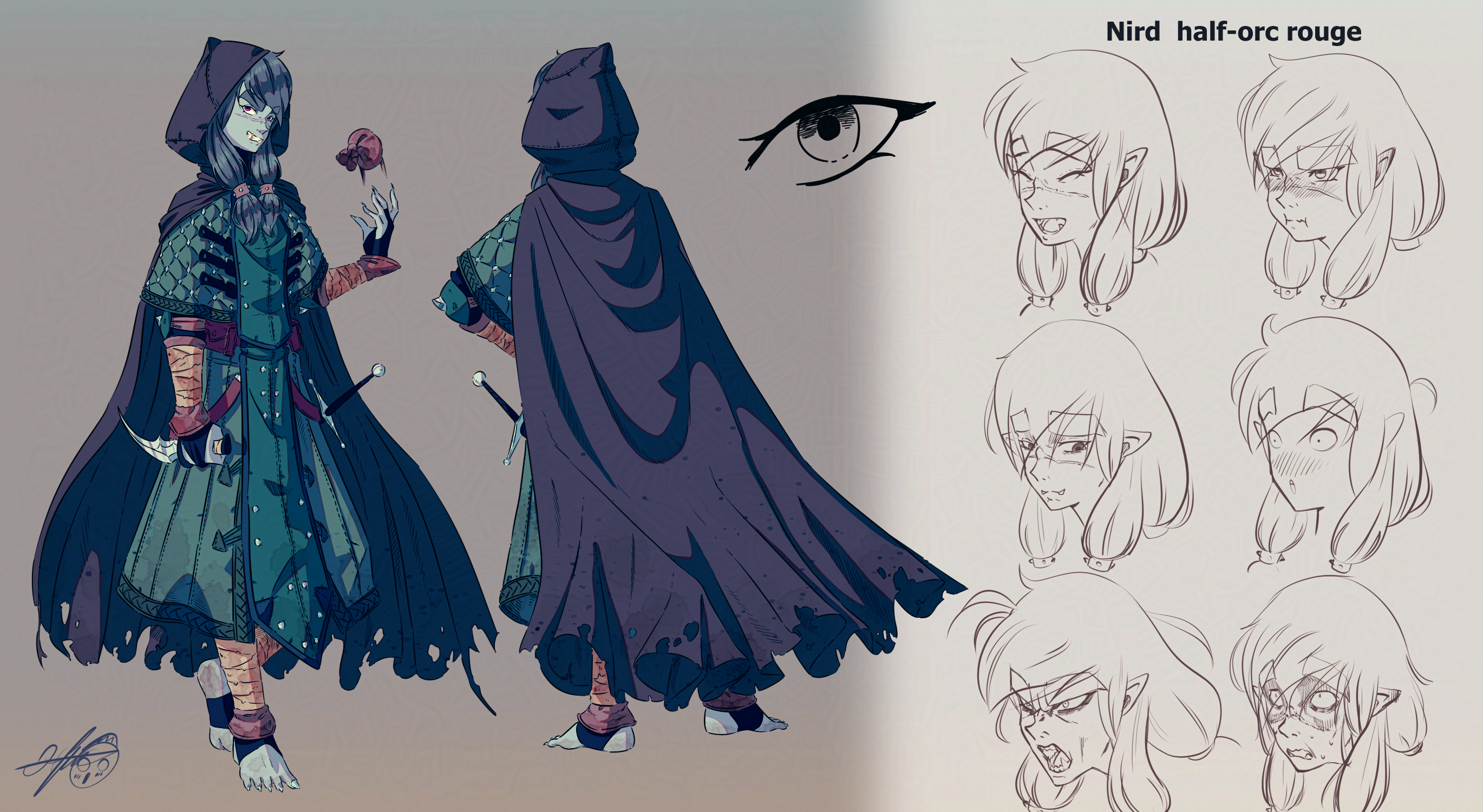 Nird Half-Orc Rougue character sheet