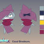 Coud pincushion concept