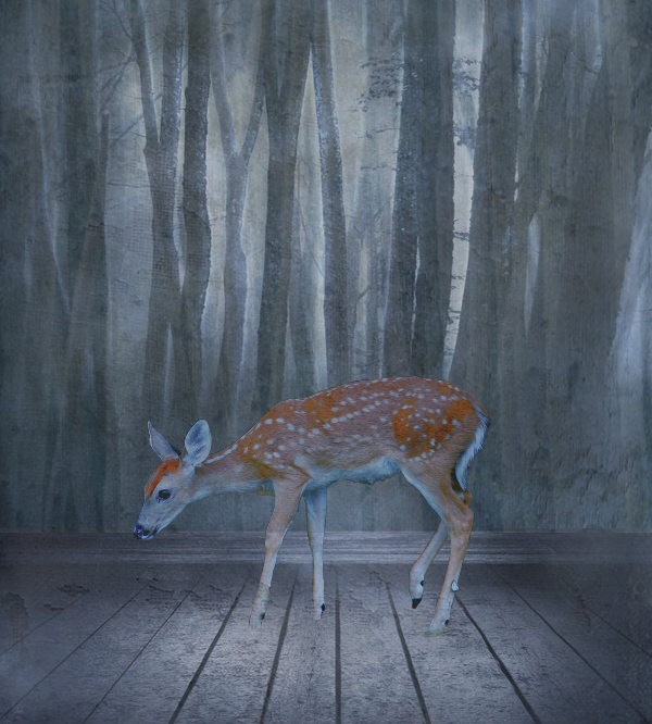 Dream Fawn