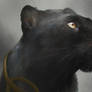 Black-panther