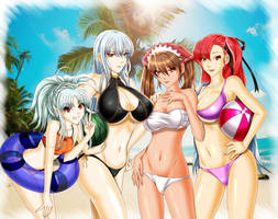 Valkyria Chronicles - Valkyrian Summer