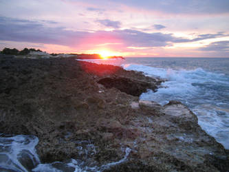 The Rocky Shore I