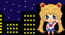 Sailor Moon Supporter Stamp