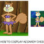 How to Cosplay as Sandy Cheeks