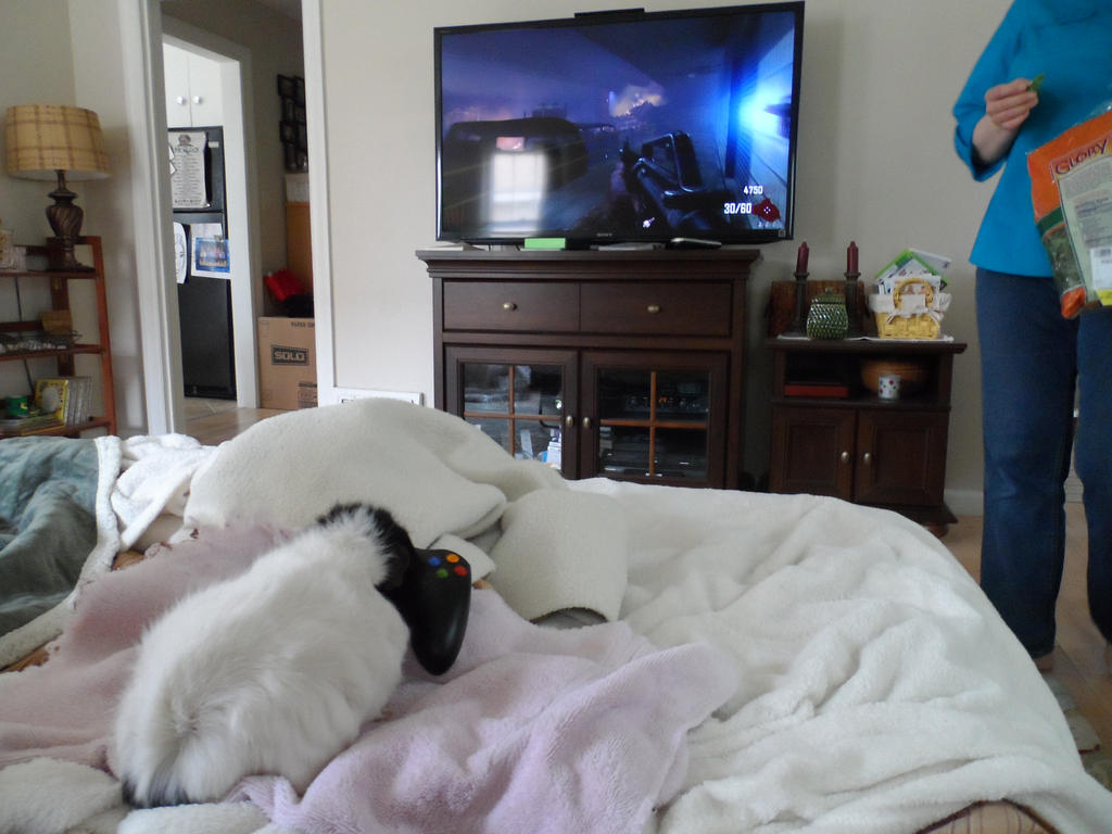 Izzy Playing Call of Duty by TechnophiIia on DeviantArt