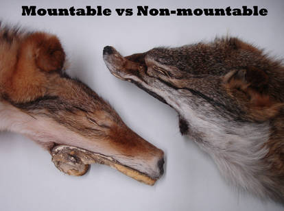 Mountable VS Non-Mountable