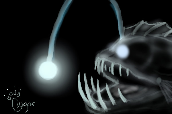 Angler Fish