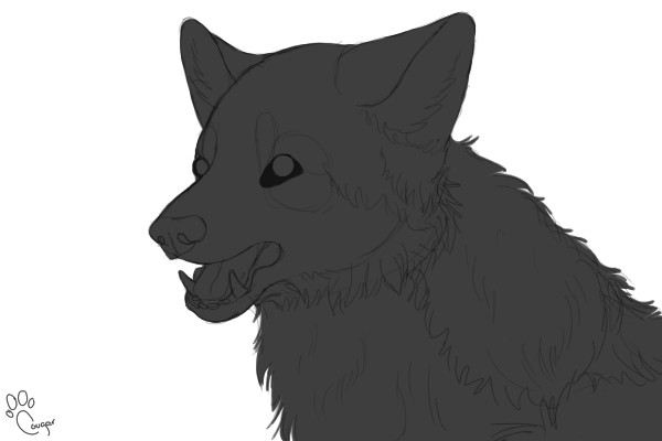 Wolf Sketch