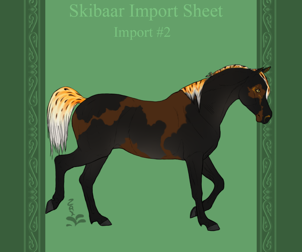 Skibaar Import 002