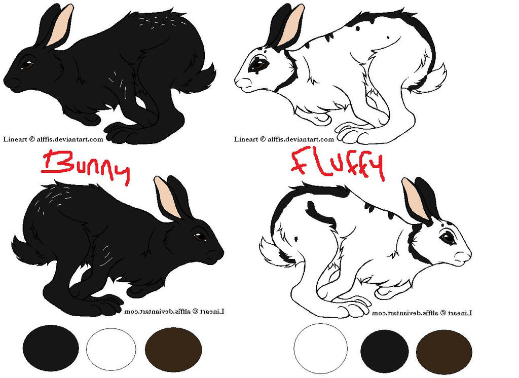 .:Bunny and Fluffy refrence:. by baltobud8 on DeviantArt