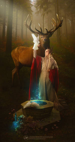An lema? - Was a long Journey? by Aramisdream An lema? - Was a long Journey? by Aramisdream