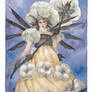 Cotton Fairy