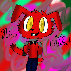 Nico the rabbit