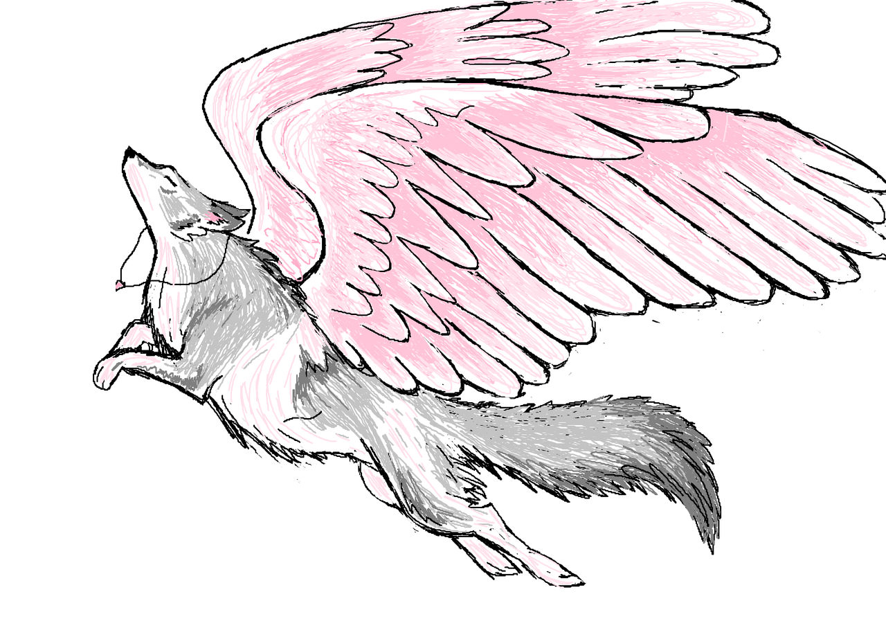 flying wolf by cloudclovertemperans on DeviantArt