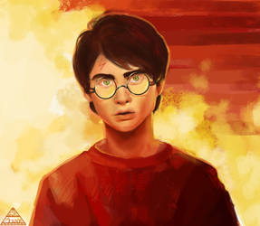 Harry always by zhukzhenya14