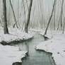 Lesna-rzeka,zima
