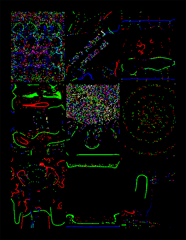 Americus Video #10: Decimation (5/6)