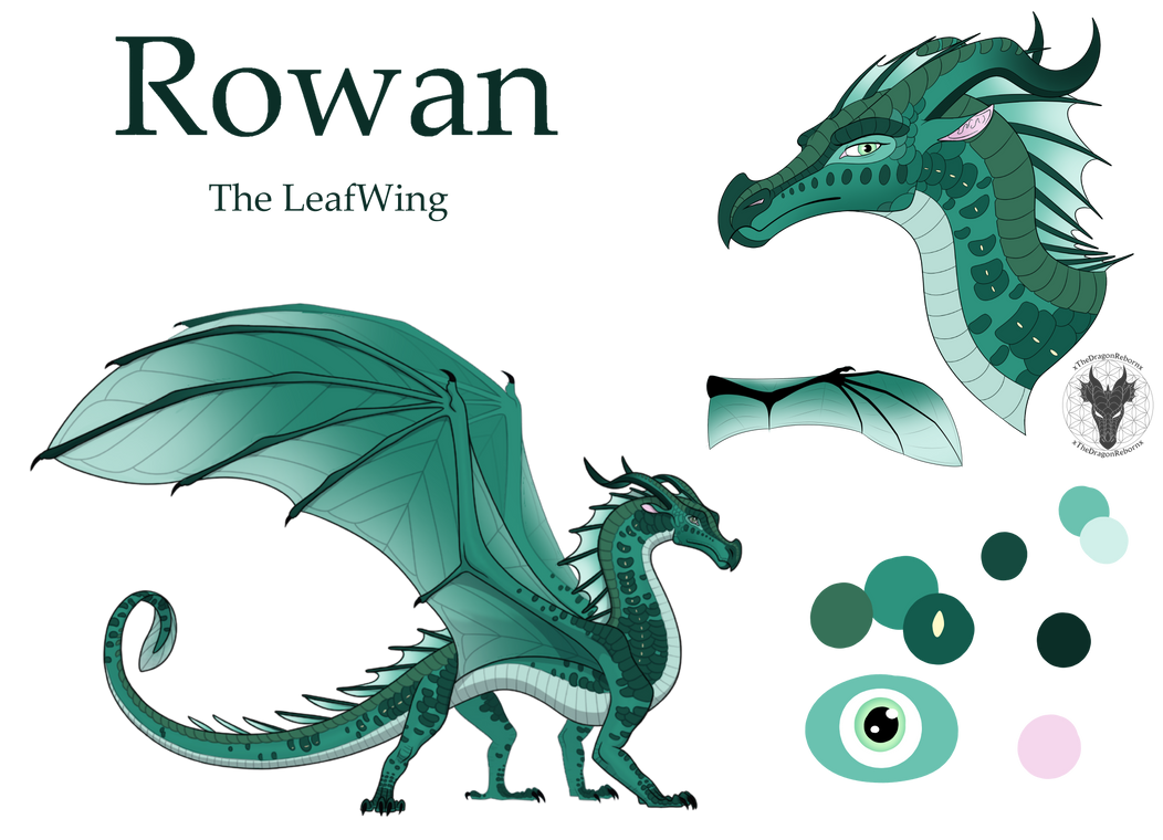 Rowan :Official Ref: by Delmare-The-Hybrid on DeviantArt