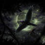 Plagued flight