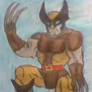 Wolverine Brown and yellow costume