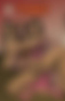 Rough Stuff 3 Cover1B nude