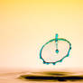 Flying Disk