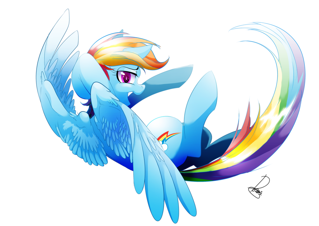 rainbow_dash_by_dormin_dim_d9zeqbd-fullview.png