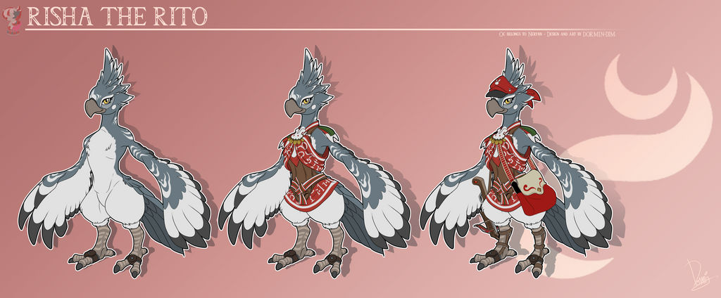 Pare Rito Designs Risha the rito Design by Dormin-DIM on DeviantArt