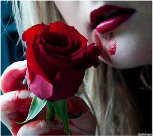 Bloody rose