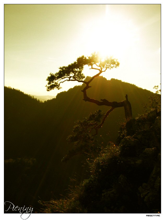 Pieniny :: IV