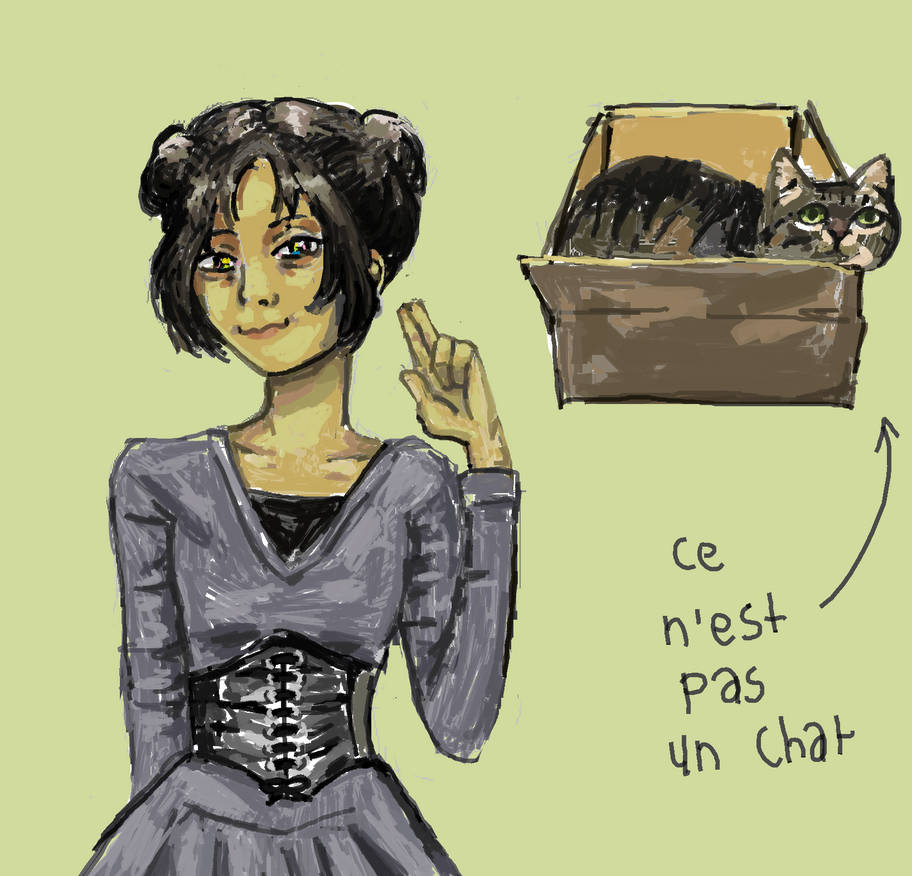 mon chat moi